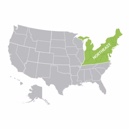 Northeast